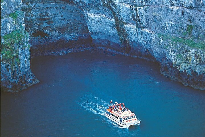 Akaroa Day Tour from Christchurch – Scenic Banks Peninsula, Harbour & Wildlife Experience